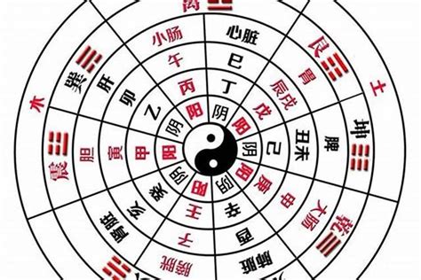 八字 木旺|命中八字木属性太旺的人 (八字木旺的人要注意什么)